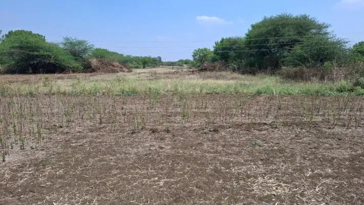 Land/Plot